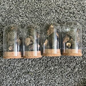 Dried burn morel mushrooms